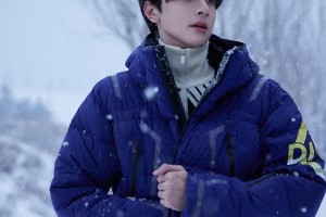林一：内娱外网双顶流，纯欲男神魅力解析