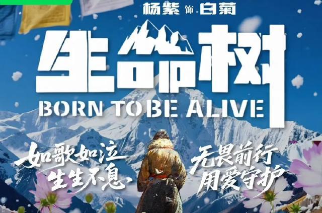 杨紫在生命树中的表现