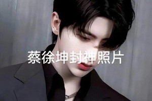 蔡徐坤粉丝造假洗白事件反转：饭圈乱象警示录