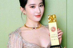 刘亦菲凭《玫瑰的故事》获2025年度女主角奖