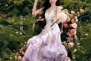 精选图片集锦：视觉盛宴一览