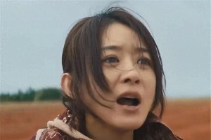 《浴火之路》影评：赵丽颖西部打拐复仇爽片