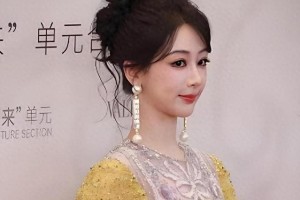 杨紫整容风波：容貌焦虑与演艺生涯的挑战