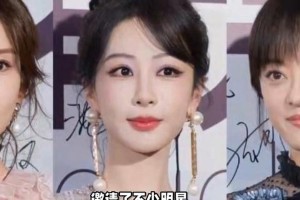 杨紫北影节亮相引热议：面部状态与妆容争议