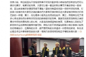 向佐回应扇李小龙模仿者巴掌事件