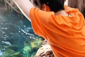 贺峻霖胡萝卜洗澡梗爆火 综艺搞笑瞬间引热议