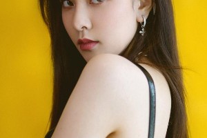 精选图片集锦：视觉盛宴一览
